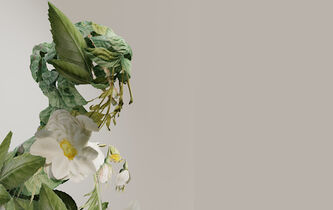 Être continuiste avec Spinoza ou discontinuiste avec Descartes ? La réponse des neurosciences