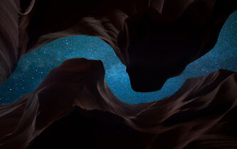 La “conscience cosmique” : quand l’écologie entre dans nos vies