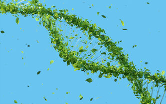 L’écologie intégrale, de l’extrême droite (et du New Age) au pape François