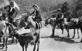 Voyage au cœur de l’hospitalité corse