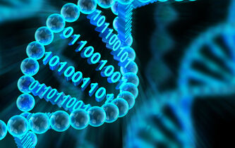 Stocker de l’information dans l’ADN ? 