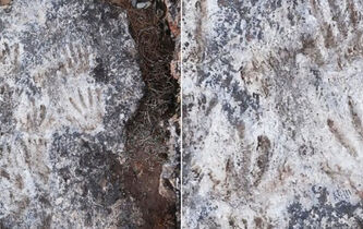 Mains positives, mains négatives : où commence l’art pariétal ?