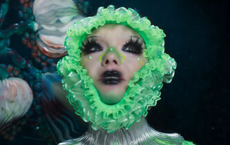 Quand Björk chante Barthes