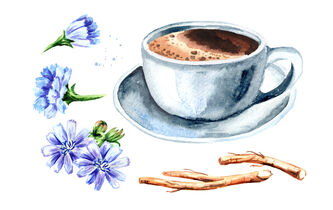 Le retour en grâce de la chicorée 