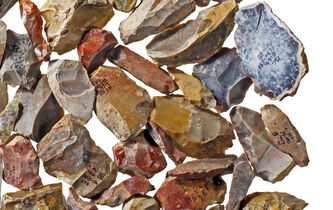 Pourquoi aimons-nous collectionner des objets ?