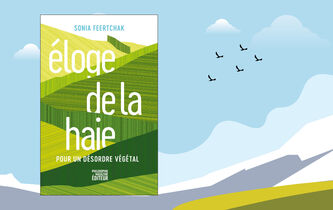 En librairie : “Éloge de la haie”, de Sonia Feertchak