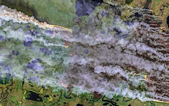 Feux zombies : des incendies sous la terre