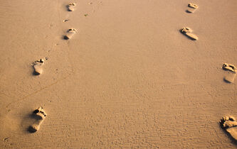Nicolas Grimaldi : “Un moi sans autre, cela n’existe pas”