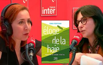 “Va, je ne te ‘haie’ point” : Maïa Mazaurette chronique l’“Éloge de la haie” de Sonia Feertchak
