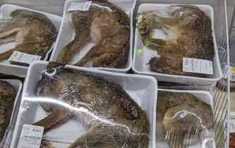 La mort est-elle intolérable quand elle a des poils ?