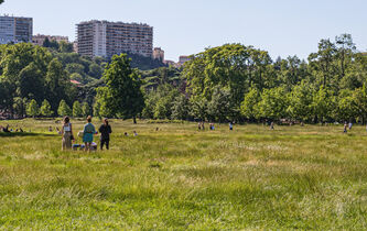 Chris Younès : “La ville est un organisme vivant”