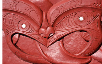 Georgina Stewart : “Les dommages philosophiques et intellectuels causés aux Maoris ne sont pas reconnus”