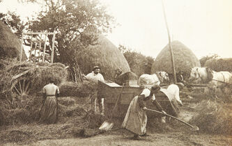 Marx et la paysannerie, une relation ambiguë