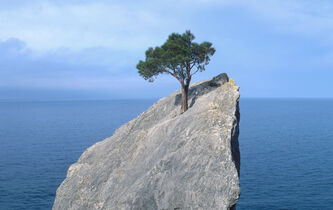 La résilience s’invite dans les discours de l’exécutif 