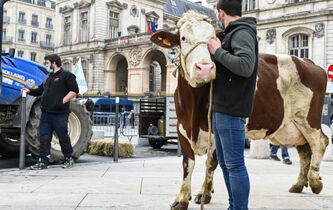 Existe-t-il un droit absolu à manger de la viande ?