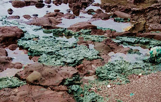 Quand la roche devient une matière plastique