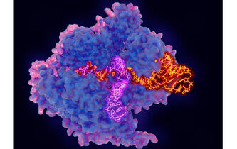 Peut-on créer la vie ?