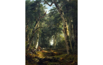 Traverser la lisière